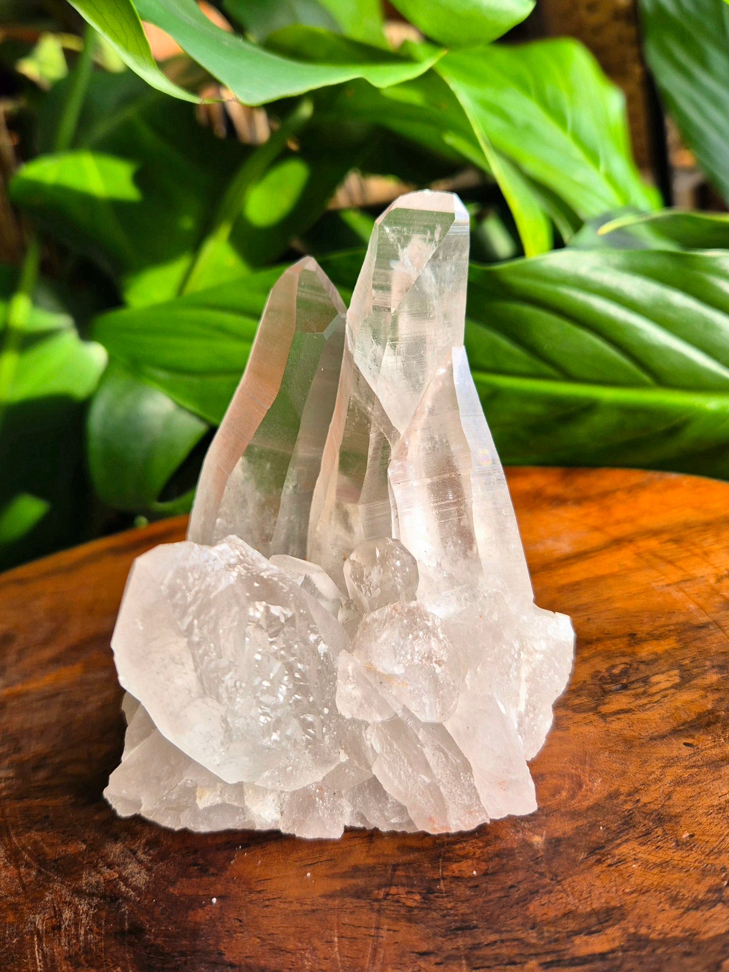 Lemuria Bergkristall Naia