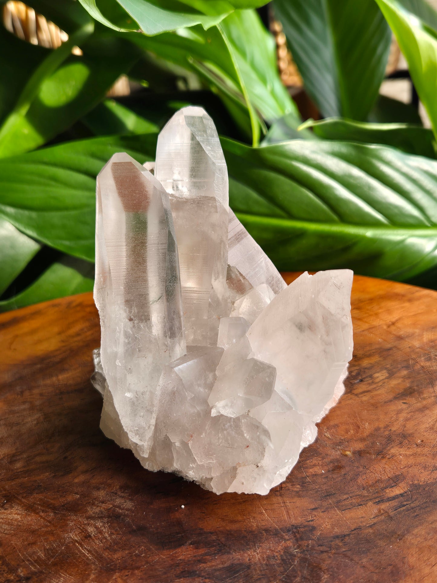 Lemuria Bergkristall Naia