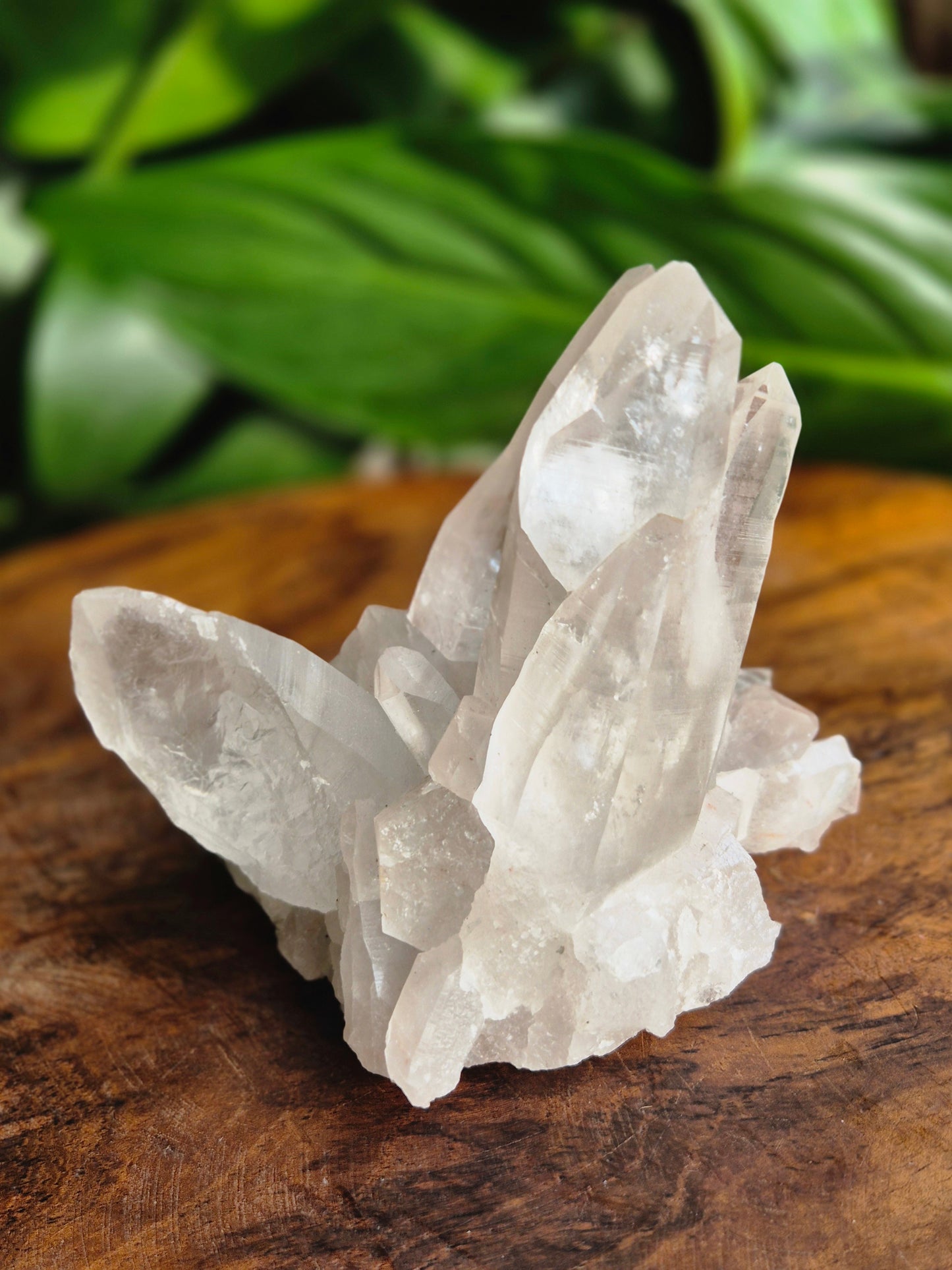 Lemuria Bergkristall Naia