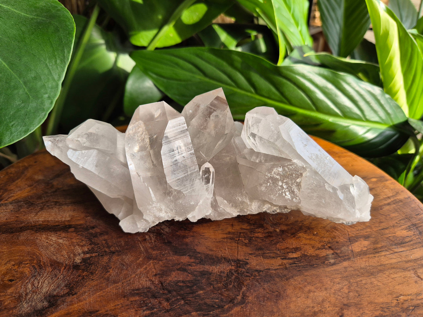 Lemuria Bergkristall Elaris