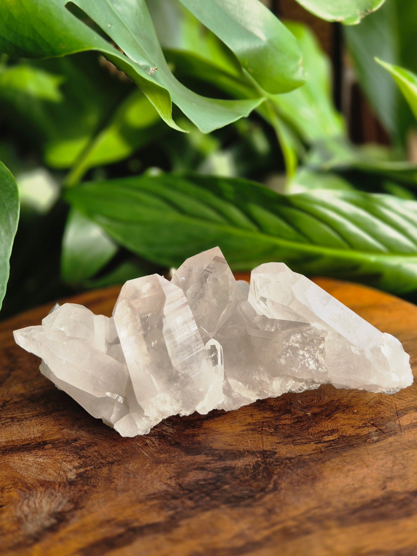 Lemuria Bergkristall Elaris