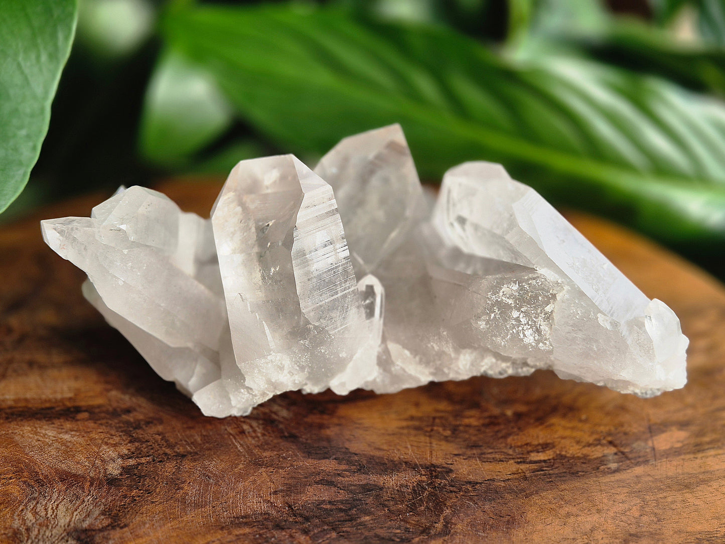 Lemuria Bergkristall Elaris