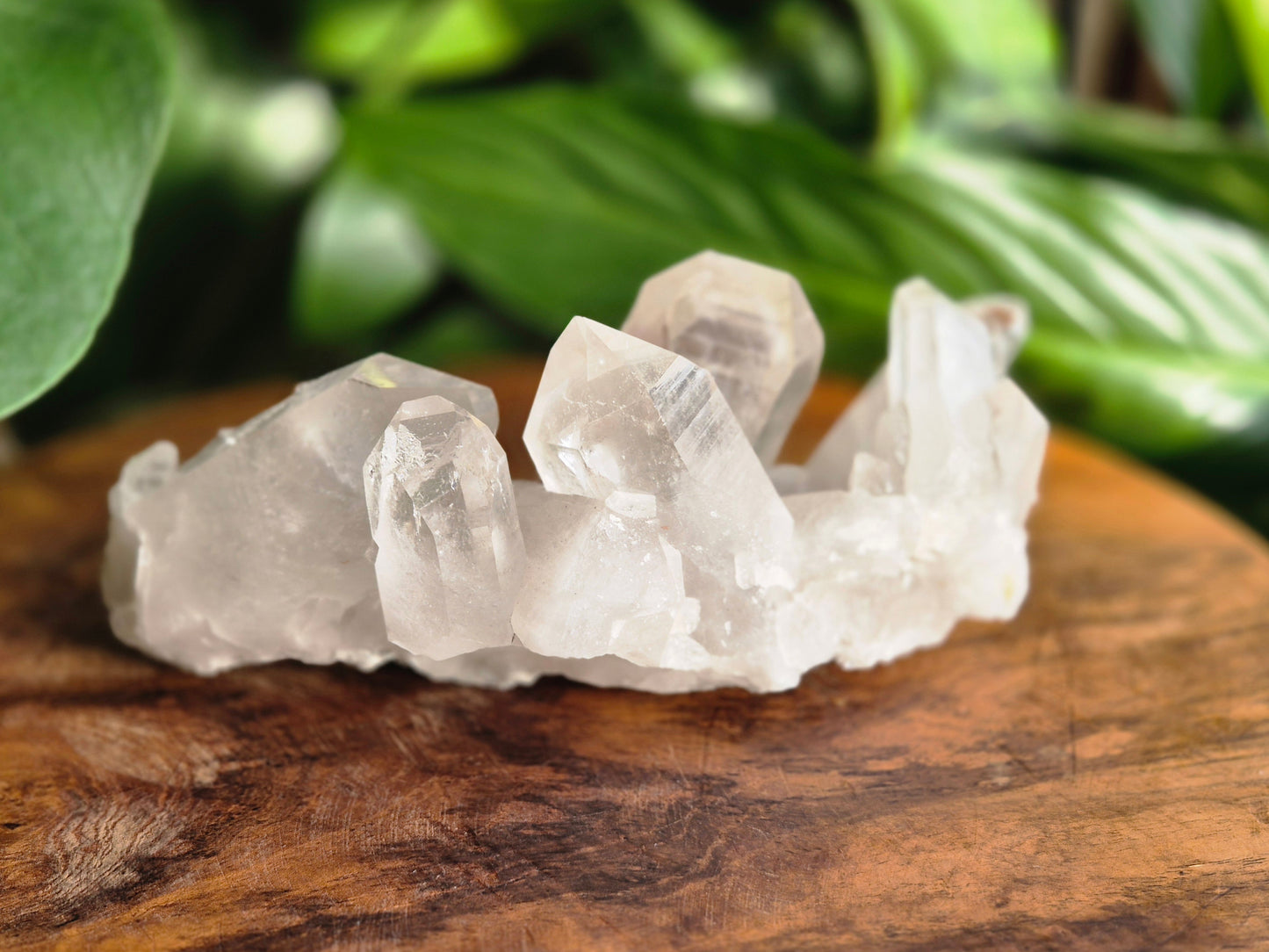 Lemuria Bergkristall Elaris