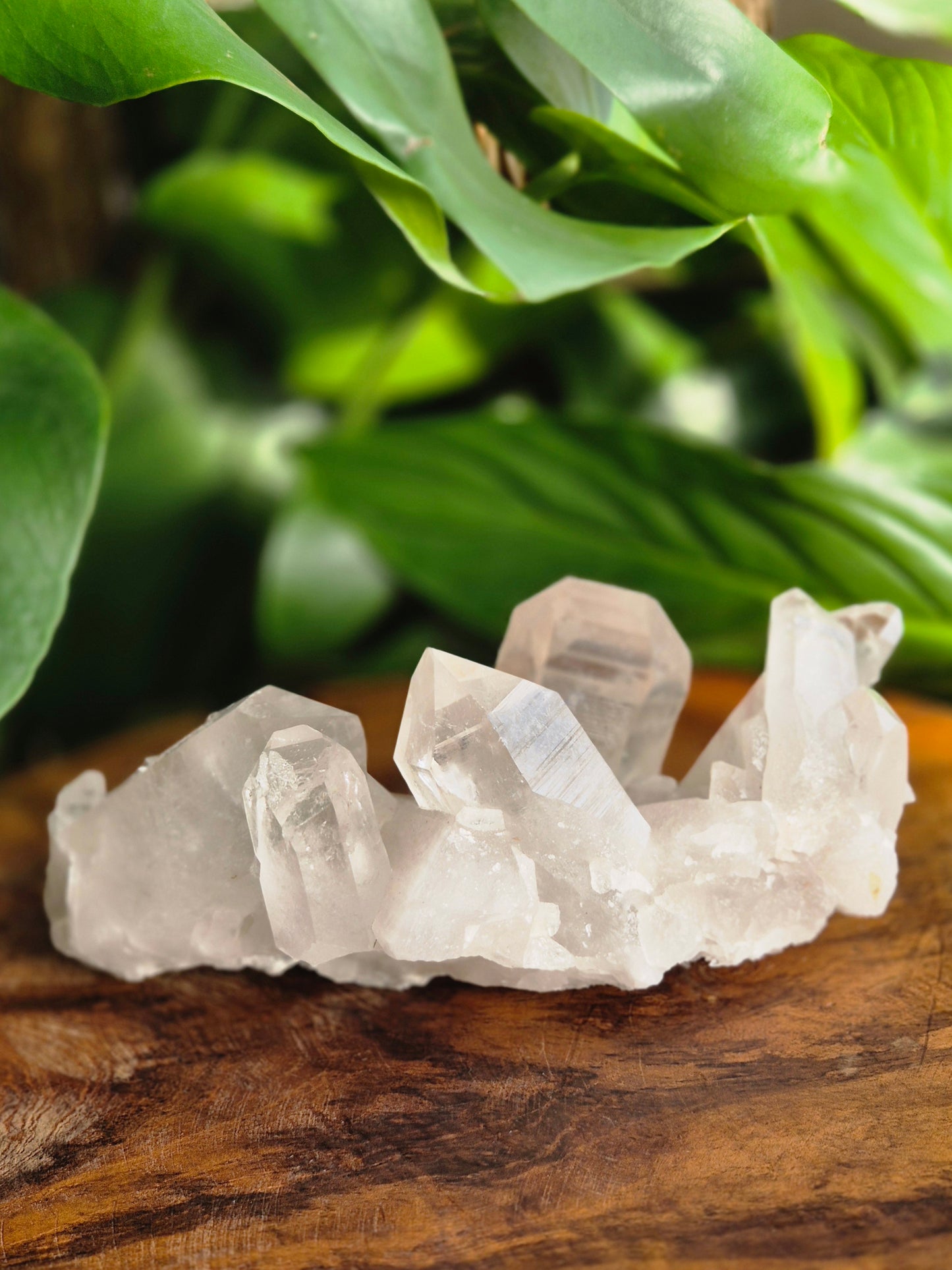 Lemuria Bergkristall Elaris