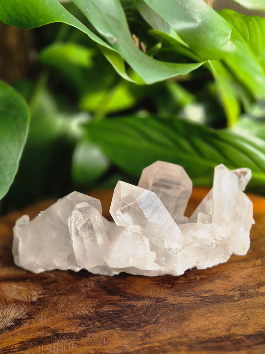 Lemuria Bergkristall Elaris