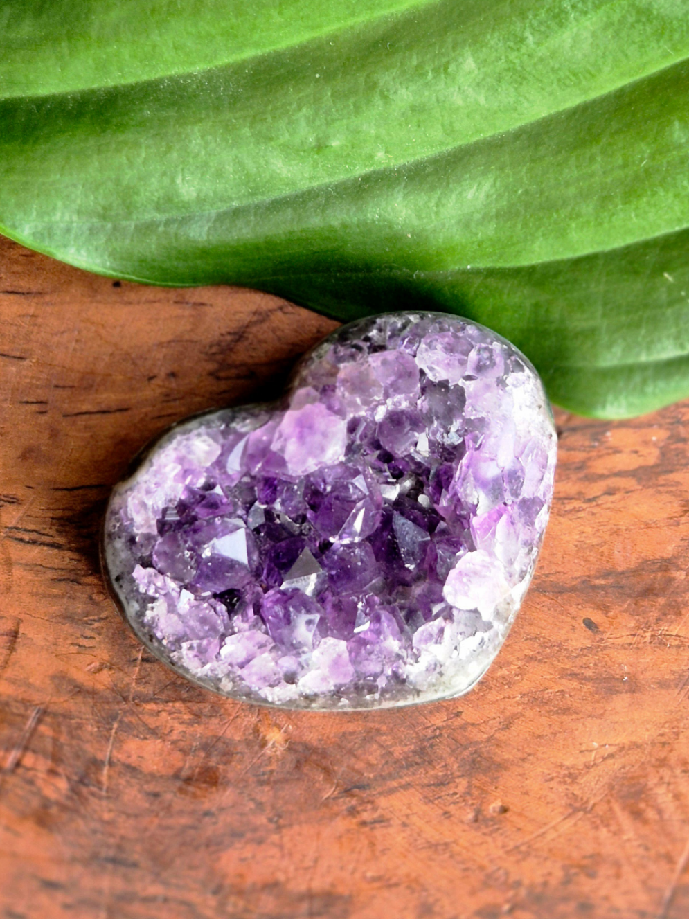 Amethyst Herz Druse AAA-Qualität Vivi