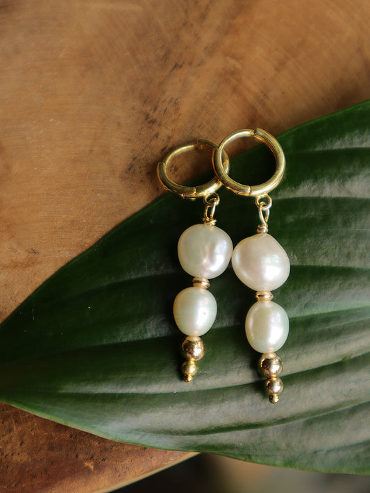 Süßwasserperlen Mini Creolen gold