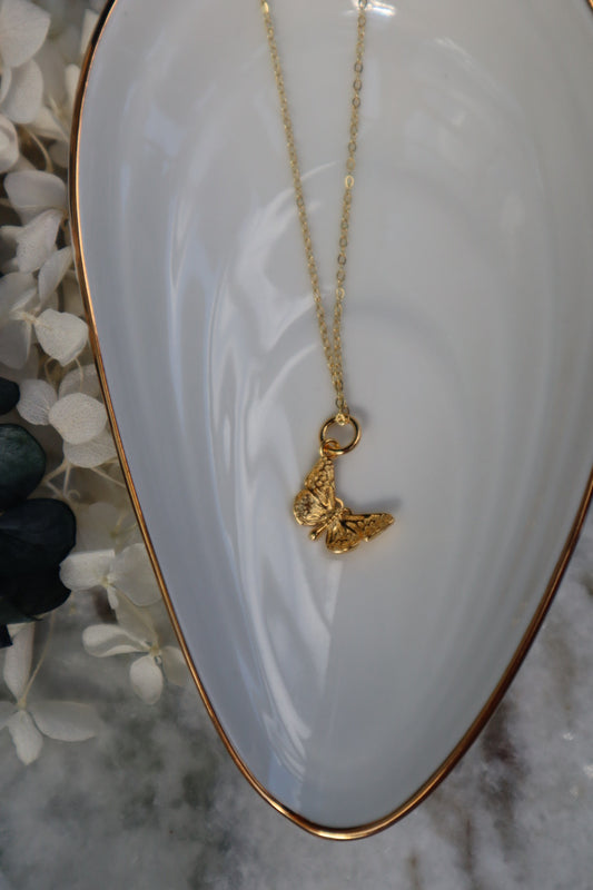 Schmetterling Mariposa Kette