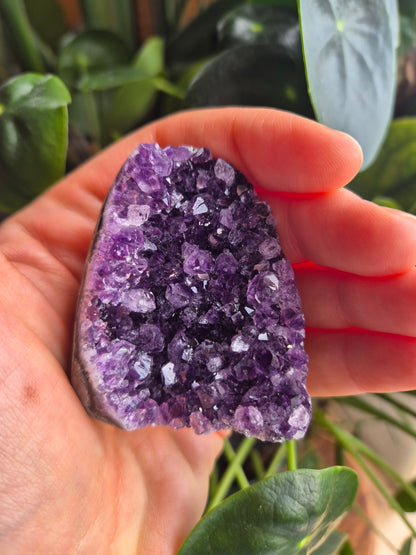 Amethyst Druse Violet Aura