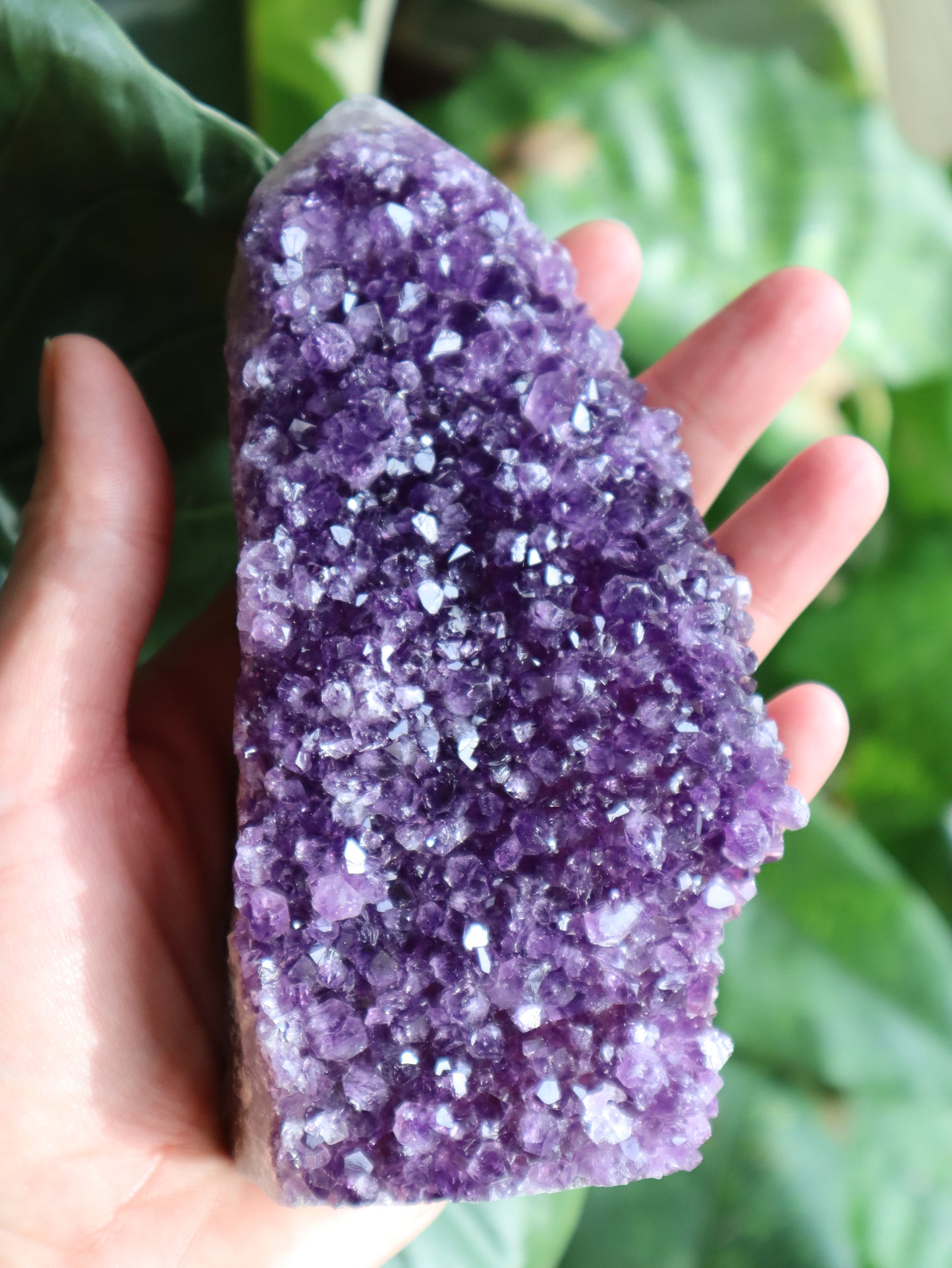 Amethyst Druse Leila