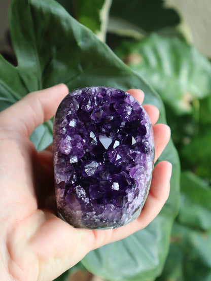 Amethyst Druse Mystic