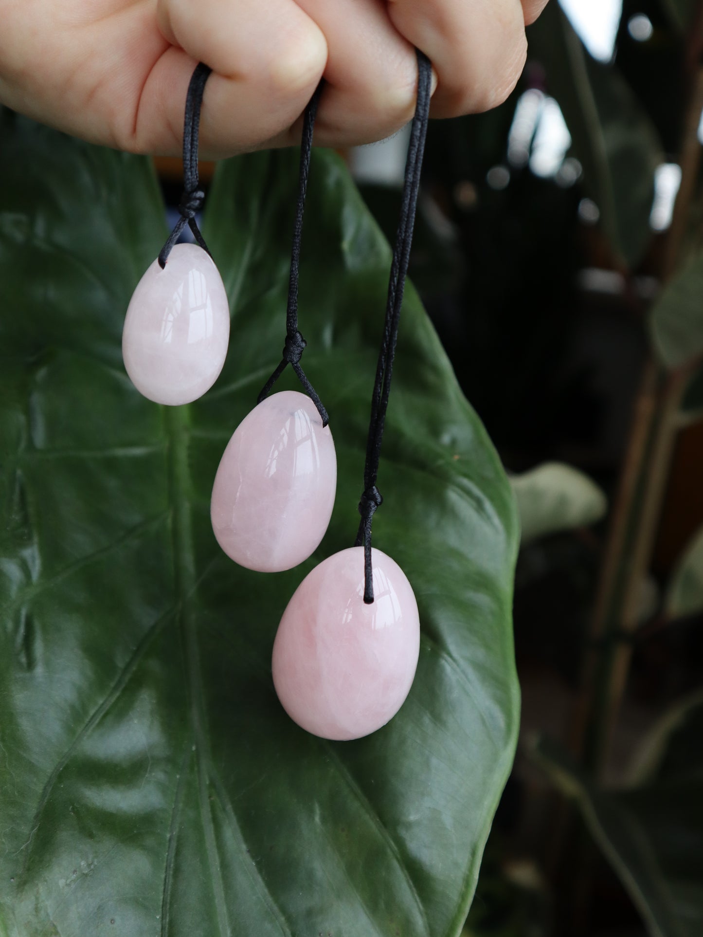 Yoni Eggs