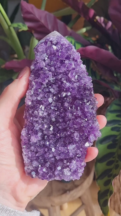 Amethyst Druse Leila